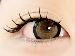 ◆11月限定◆フラットラッシュ120本(オフ込み)