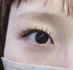 高品質フラットラッシュ60本✨コーティング付き✨