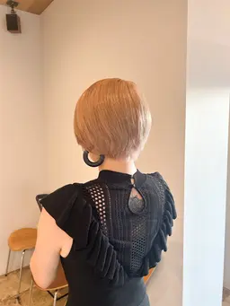ダブルカラー(medium)🦖