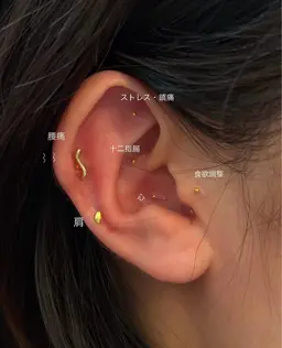 【大事なイベントの前に🩷ྀི】SNSで大人気.ᐟ耳つぼジュエリー片耳7粒ずつ👂🏻 ⋆୨୧ ⸝⸝꙳⟡