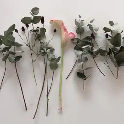 🌷4週間以内のご来店　ラッシュリフト上
