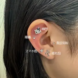 人気No.1🥇耳つぼジュエリー👂🏻💎 10粒(片耳5粒)