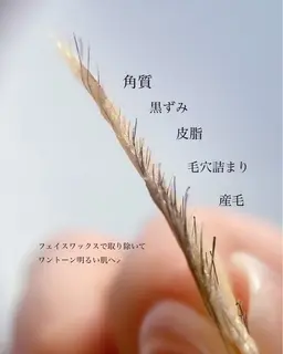 肌が綺麗になるフェイスwax ハイドロジェリーマスク付き
