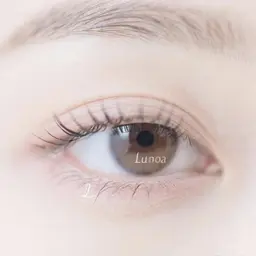 フラットラッュシ100本