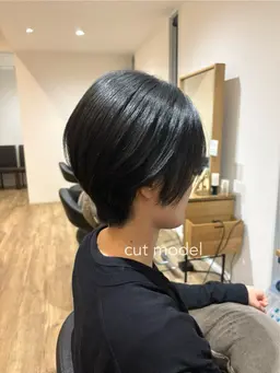 ショートカットモデル
