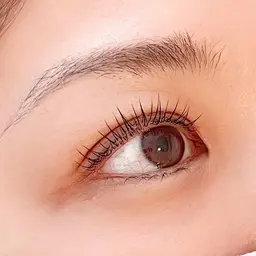 【モデル募集】ラッシュリフト×美眉アイブロウwax¥10000→¥6500