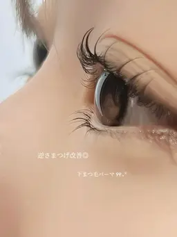 🪽‪minimo限定🪽‪下まつ毛パーマ