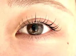 大人っぽ流しまつ毛メーテルカール🌹コーティング付オフ500円​〜​