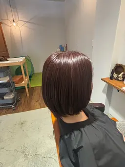 カラー S