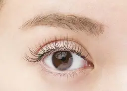 《フラットラッシュ》ナチュラルな仕上がり◎80本(来店履歴のないご新規様のみ)