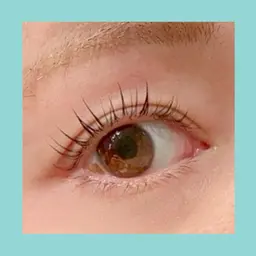 無料【明日12時のみ】パリエクモデル💐