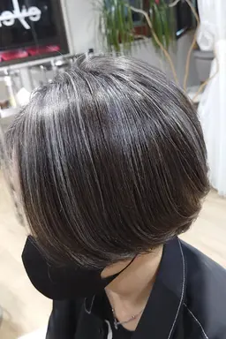 全体ハイライト&高発色カラー【アルティストカラー】