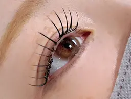 🦋フラットラッシュ100本✨