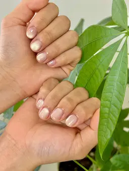 ◽︎マグネットone color【オフ無し】10本同じカラーをお爪の根元から先端まで塗るカラーリング。