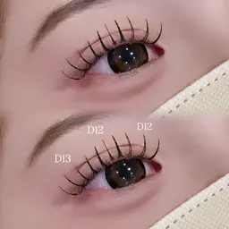 《🎀マツエクモデル🎀》フラットラッシュ140本 ➕束感コーティング付き🩶*.+ﾟ【オフ別途】