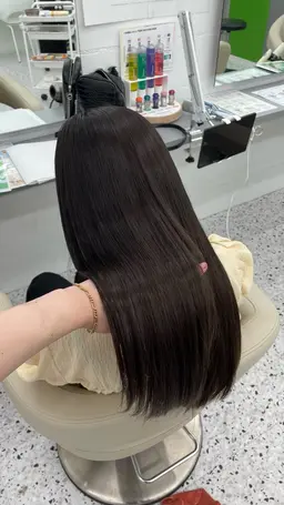 カットモデル