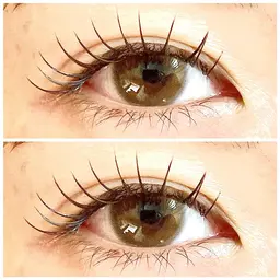 【ご新規様限定】フラットラッシュ120本🫧(高濃度.束感コーティング+アイシャンプー付き)