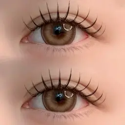 LDカール フラットラッシュ120本