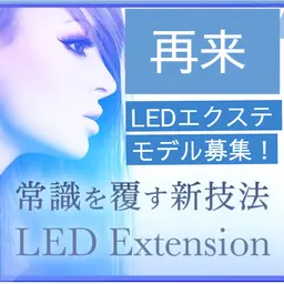 再来🌹LED【バインドロック80束】