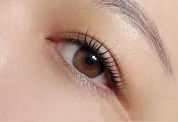 💁‍♀️【セット🈹】💁‍♀️ラッシュリフト<上下>+ 【眉パーマ】ハリウッドブロウリフト❣️