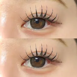 ⌇🌛パリエク🌛⌇パリジェンヌ➕フラットラッシュ120本👀逆まつげのかたも✨最強パッチリ🧡🧡
