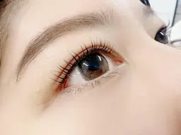 《当日限定🫧》ラッシュリフト/まつ毛パーマ