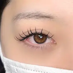 8月限定🌻🍉大人気❕長持ち✨束感バインドロック100束【マツエクオフは別途￥550】