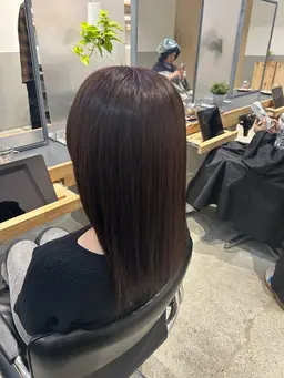 【小田原ダブルカラー】