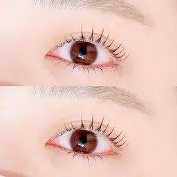 🪽上下ラッシュリフト(orパリジェンヌ)🪽