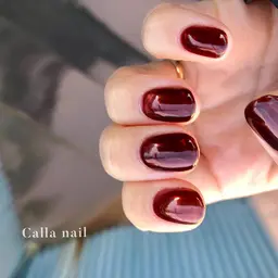 ワンカラー /グラデーション