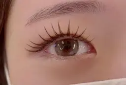 シングルフラットラッシュ🖤(100束）