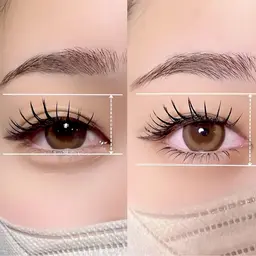 《中顔面短縮✧︎*。》🦋マツエク下のみ🦋両目40本まで(1本¥110円)