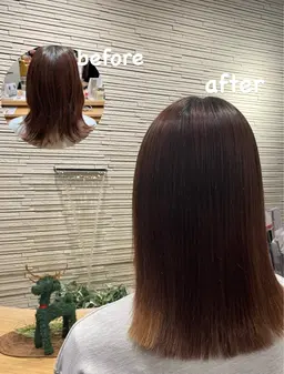 縮毛矯正『全体』🌱＋トリートメント