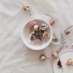 🌷ラッシュリフト上下
