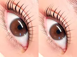 【12月限定】パリジェンヌラッシュリフト🫧 《アイシャンプー&美容液コーティング込み》