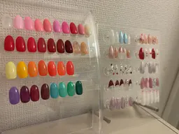 オフなしワンカラー💅ネイルモデル限定🌼(どの色でもOK♡)