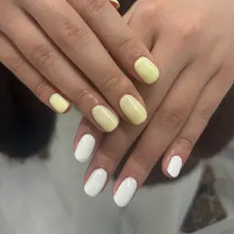 12/9限定✨ワンカラー❤️オフ無料🦋