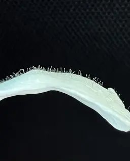 【wax】選べる1パーツ脱毛🤍(おでこ、頬、鼻周り、口周り、もみあげ)つるつるのお肌へ🌷補足説明をよくお読み下さい
