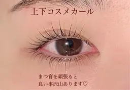 ★ラッシュリフト上下
