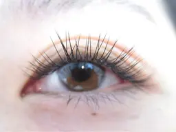 【上まつげシングルエクステ80本】無料モデル募集⛄️