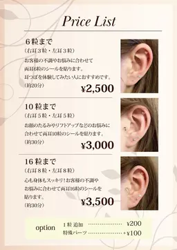 【むくみ軽減】耳ツボジュエリー👂6粒¥2500​〜​