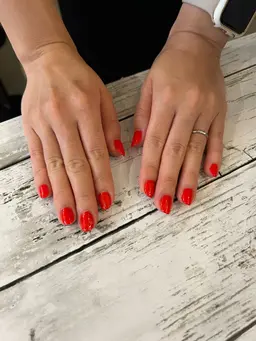 【期間限定】練習モデル価格・ワンカラーオフ無し