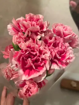 スペシャルコース✨よもぎ蒸し＋全身リンパ＋足ツボ(150分)1日2名様限定！