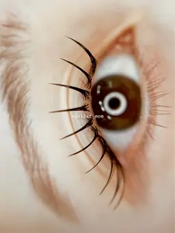 ▫️ 【 ~30分/短時間仕上げ 】フラットラッシュ40 - 80本✨ナチュラルeye