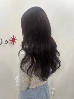 ワンカラーモデル