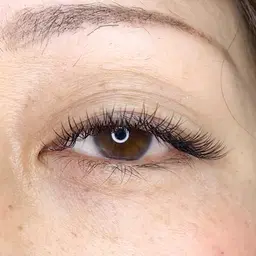 LEDダブルフラットラッシュ(ロックラッシュ)100束