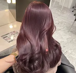 【 透明盛れカラー 】 ラベンダー ブラウンcolor🪻‪𓂃 𓈒𓏸 × プラチナtreatment ‧⁺ ⊹˚.