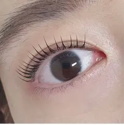 【オフ対応不可】　韓国風×束感のまつ毛パーマ上のみ