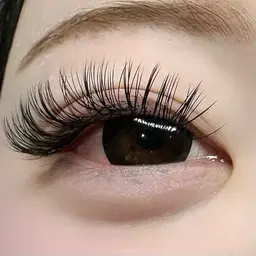 【12/8 限定格安クーポン⠀】オフなし フラットラッシュ120本