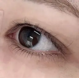 🤍12月限定🤍下パリジェンヌ